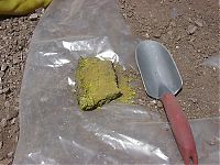 Who would have thought2